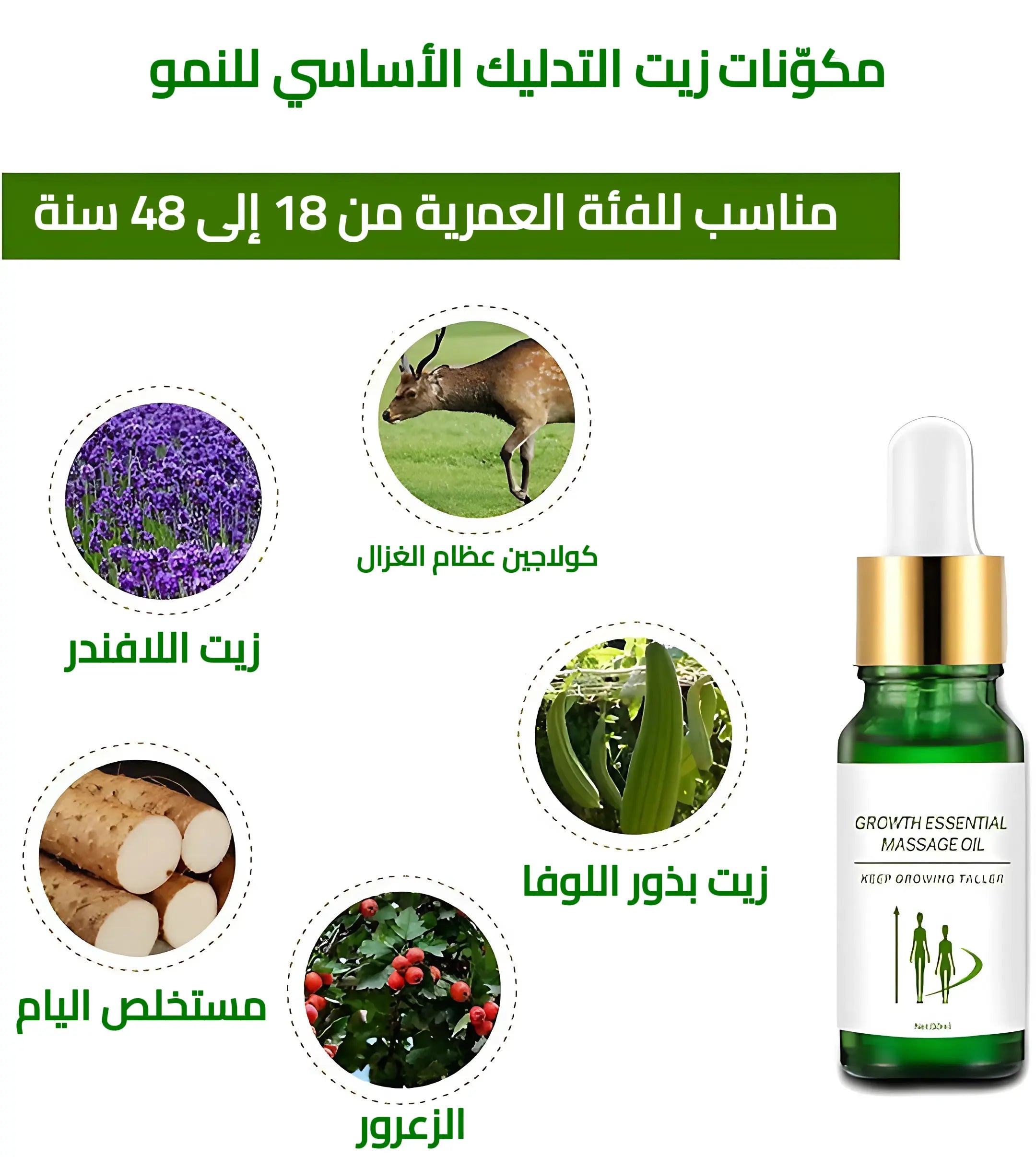 زيت تدليك طبيعي للنمو وزيادة الطول سيروم عشبي صحي للجسم