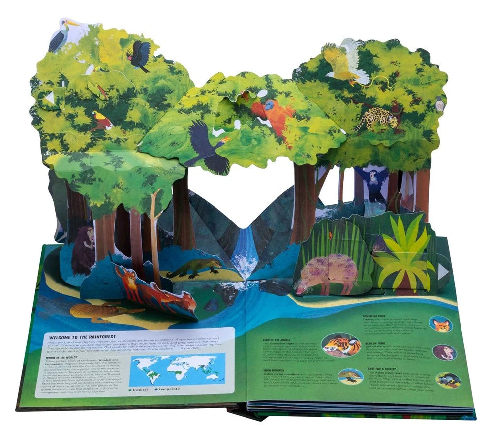 كتب تفاعلية ثلاثية الأبعاد للأطفال